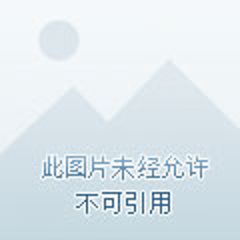 茶叶烘干机在现代茶叶加工中的重要角色与演变
